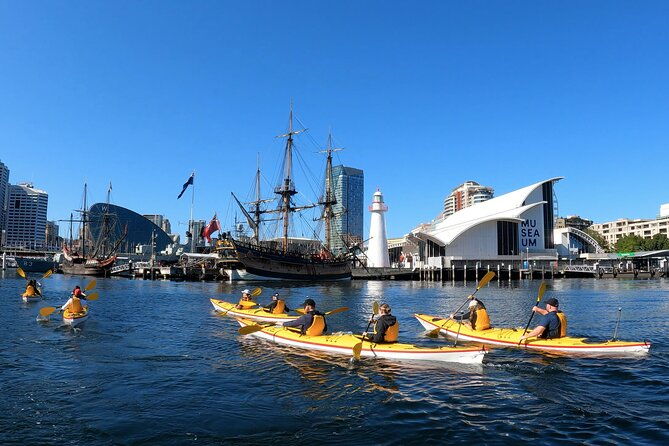 Darling Harbour Explorer - Sea Kayaking Tour - Who Will Love This Tour?