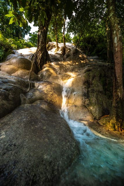 day-tour-in-chiang-mai-i-waterfall-i-dantewada-i-doi-suthep
