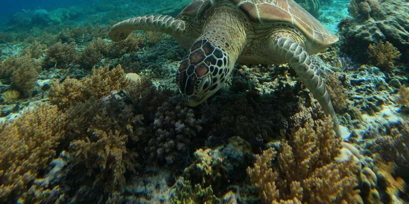 day-trip-5-secret-giilis-in-west-south-of-lombok