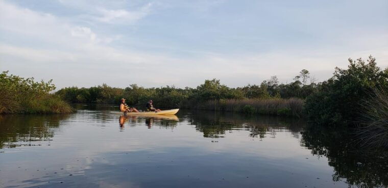 daytona-new-smyrna-beach-unforgettable-kayak-wildlife-tours