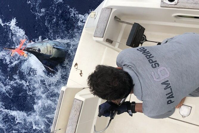 Deep sea fishing - FAQ