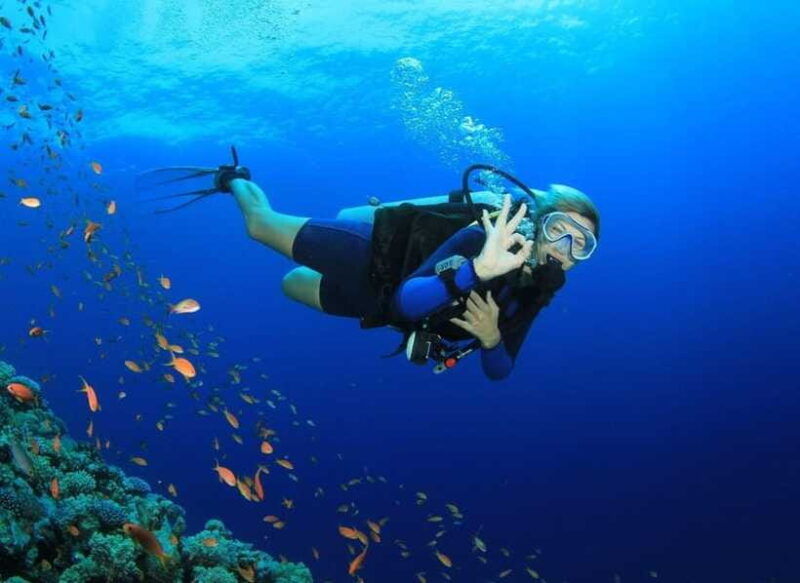 deluxe-daily-tour-snorkeling-bbq-mud-bath-from-nha-trang
