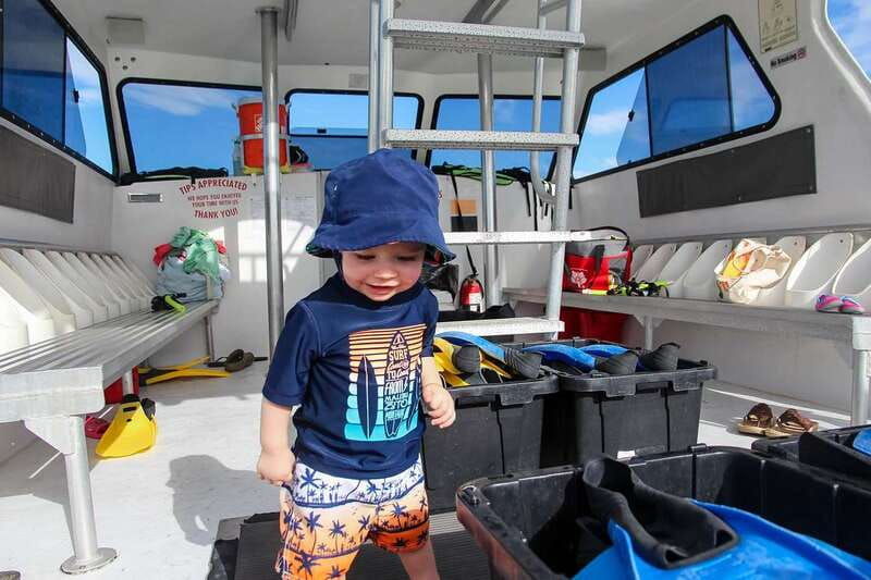 destin-dolphin-watching-cruise-2