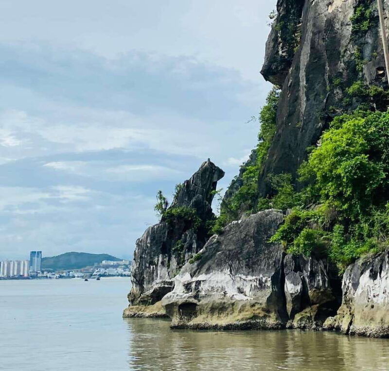 discover-halong-bay-4-hour-scenic-cruise-kayak-lunch-cave