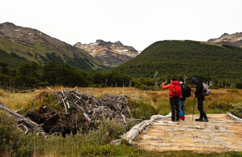 discover-tierra-del-fuego-national-park