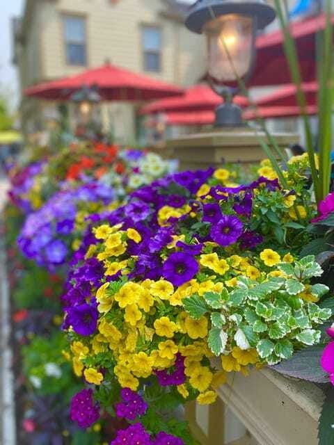 discovery-tour-from-niagara-falls-to-niagara-on-the-lake