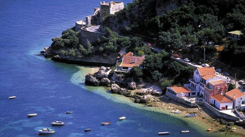 dolphin-watching-sesimbra-arrabida-natural-park