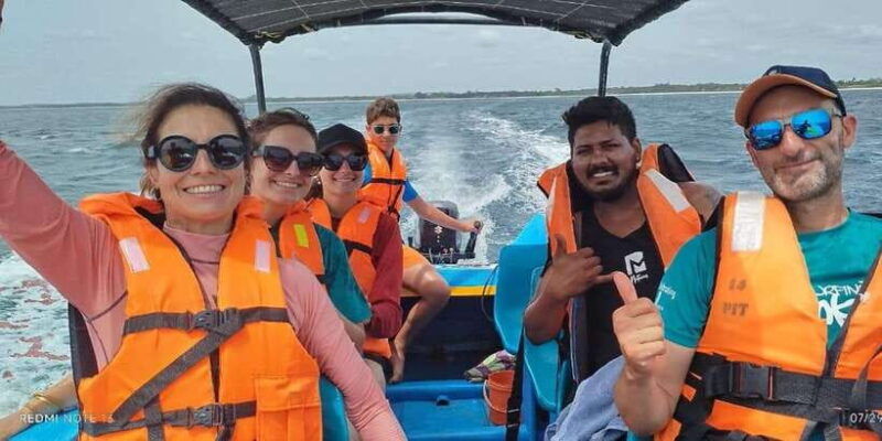 dolphin-whale-watching-east-coast
