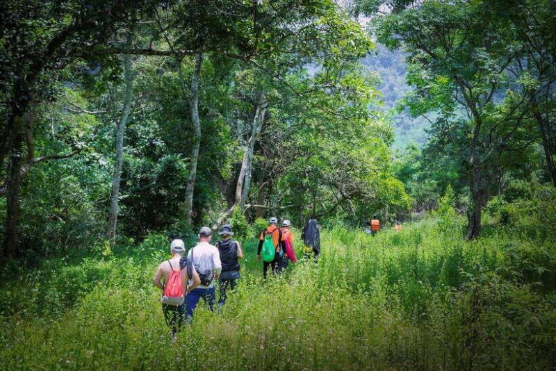 dong-hoi-expedition-cha-loi-cave-like-tarzan-in-the-jungle