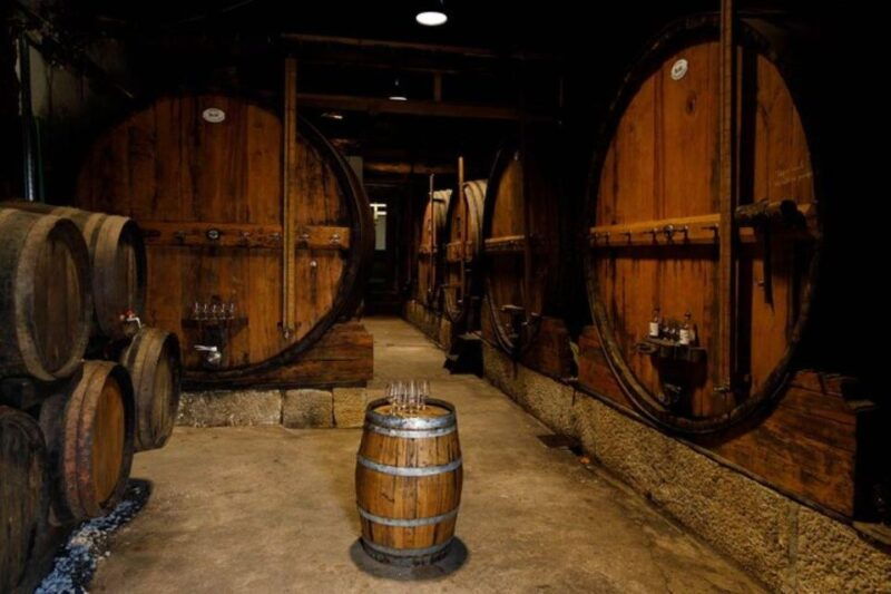 douro-premium-wine-tasting-and-tapas-tour