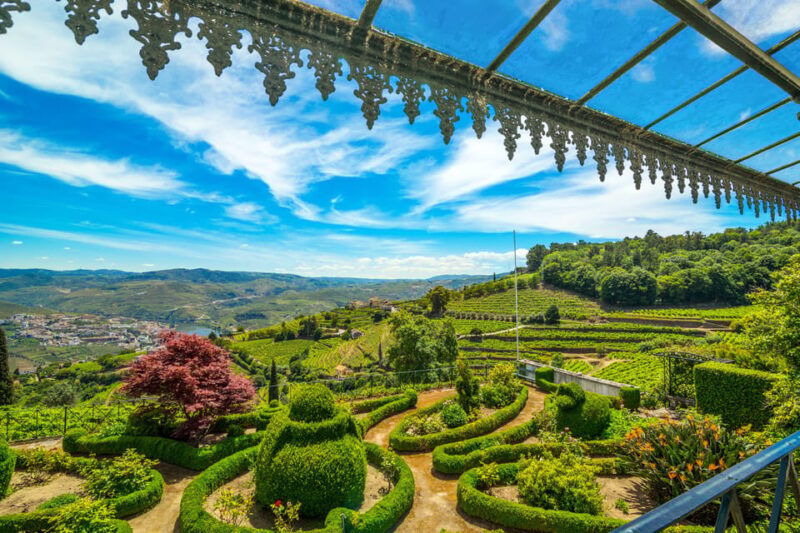 douro-quinta-de-santa-julia-lunch-tour-wine-tasting-2