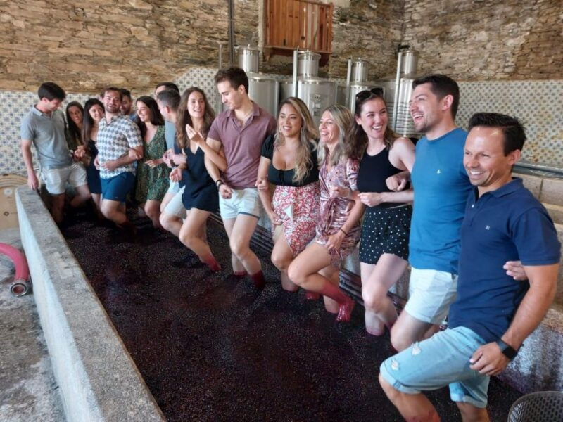 douro-valley-pinhao-quinta-da-foz-tourtasting-5-wines