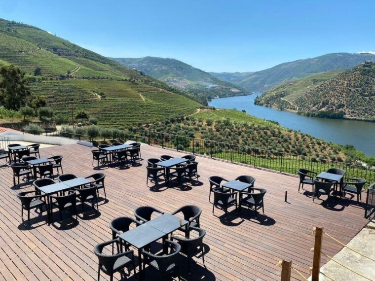 douro-valley-quinta-de-s-luiz-winery-tour-and-tasting