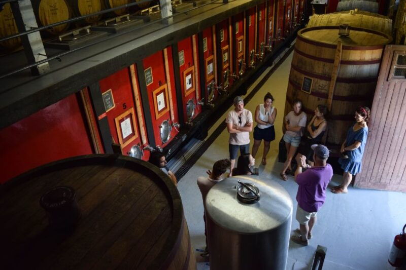 douro-valley-quinta-do-tedo-winery-tour-and-tasting