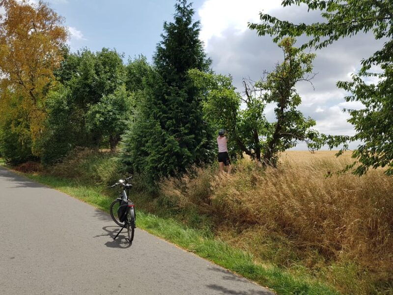 dresden-e-bike-tour-and-dresden-heath-forest-trails