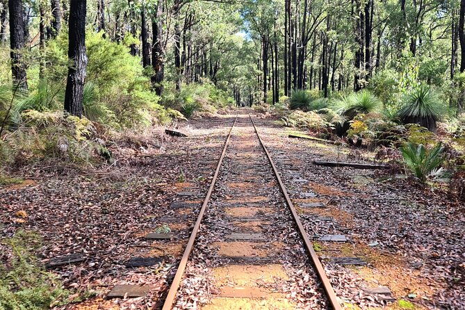 Dwellingup Trains, Trails & Woodfired Delights Full Day Tour - Who This Tour Is Perfect For
