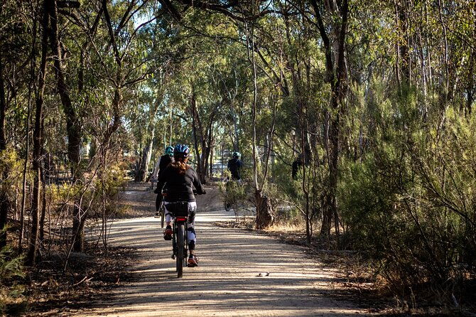 E-Bike Hire Echuca Moama - Full Day - Who Should Consider This Experience?