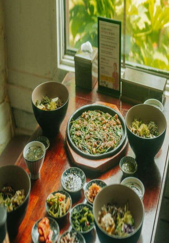 east-jeju-cherry-blossom-tangerine-picking-small-group-tour