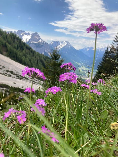 ehrwald-hiking-tour-into-breath-taking-nature
