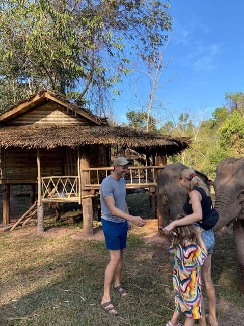 elephant-home-sanctuary-in-muang-thong-sayaboury-laos