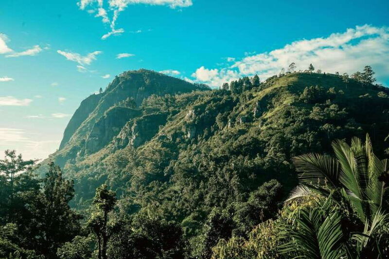 ella-guided-day-tour-with-tea-estate-visit