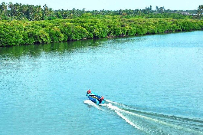 Exclusive : Muthurajawela Bird Watching Tour - The Experience in Review: Authentic and Family-Friendly