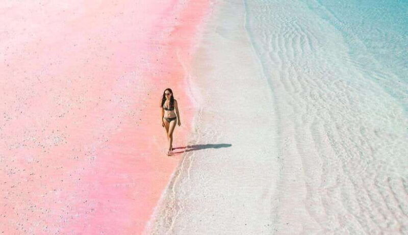 exclusive-one-day-tour-to-lomboks-pink-beach-and-3-gilis