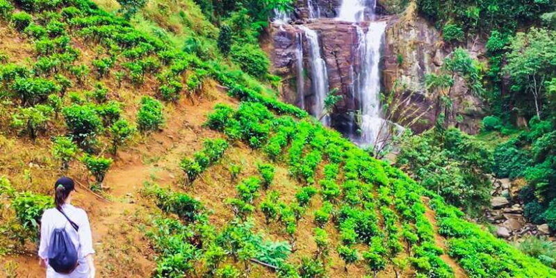 exclusive-village-trekking-tour-at-ramboda