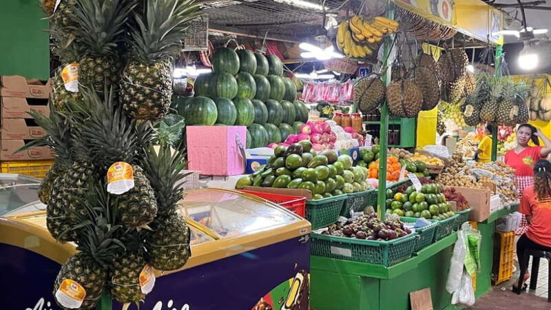excursion-day-tour-in-manila