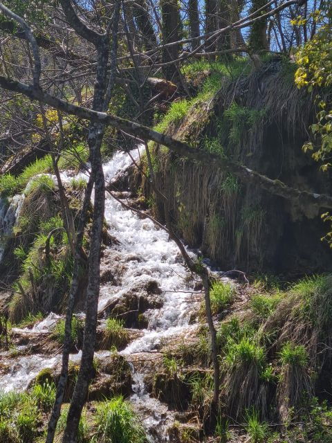 excursion-to-plitvice-national-park