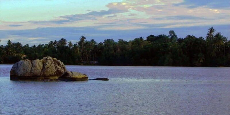 explore-bentota-riversafari-tour-with-hotel-pickupdrop-off