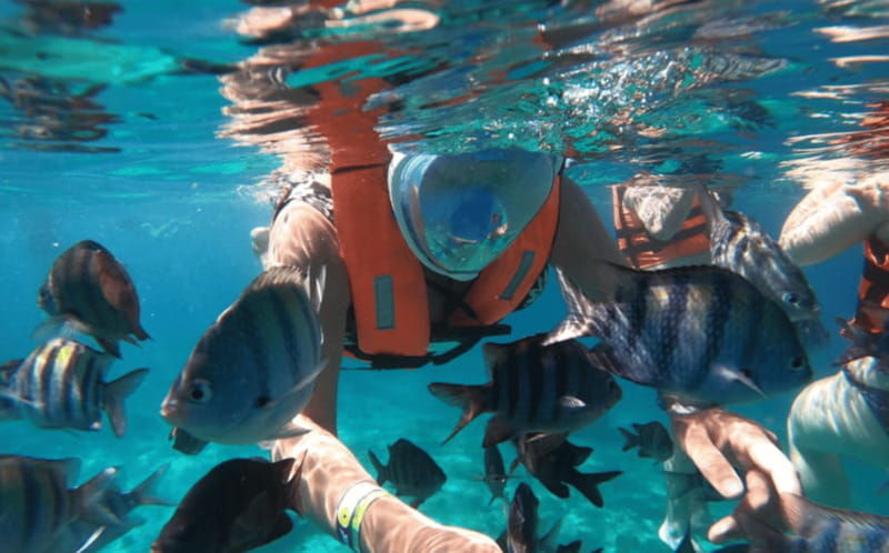 explore-the-sea-of-cozumel-in-a-transprent-boat-with-drinks-and-snorkel