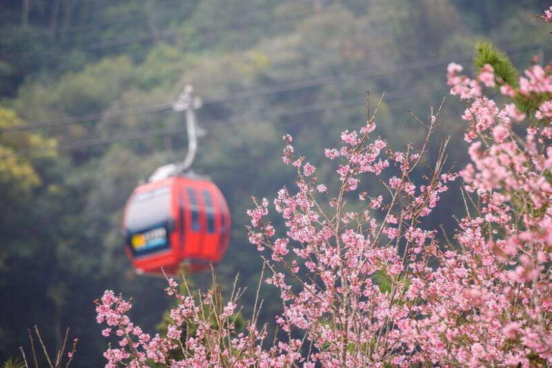 %f0%9f%9b%a5%ef%b8%8f-private-1-day-sun-moon-lake-escape-tour-from-taipei