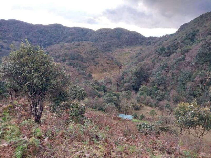 fansipan-mountain-1-day-trekking-tour