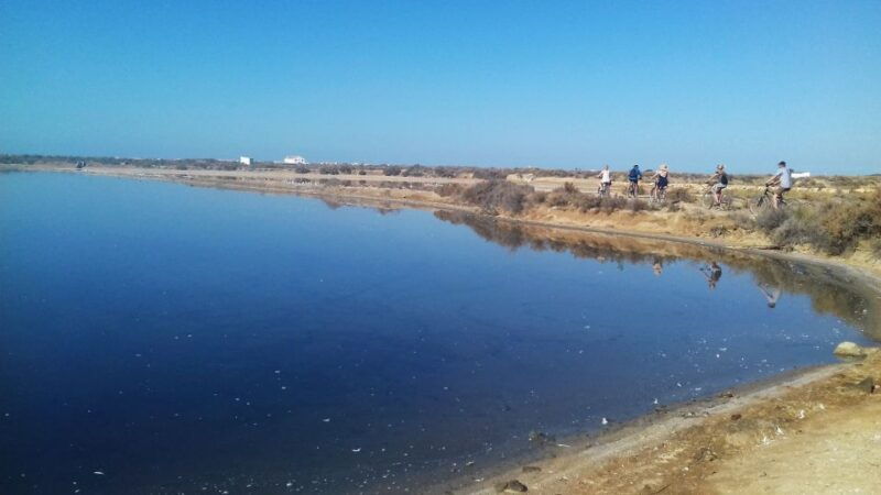 faro-bike-tour-through-the-beautiful-ria-formosa