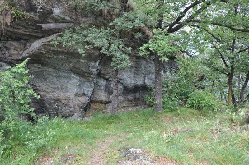 FAUNA AND FLORA OF EXPOSED AND ENGRAVED ROCKS - Experience and Highlights