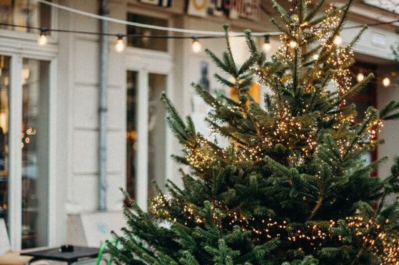 festive-journey-in-sirmione-christmas-walking-tour