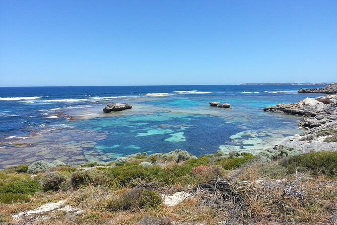 Fly to Rottnest Island by Plane - Considering the Cost and Value