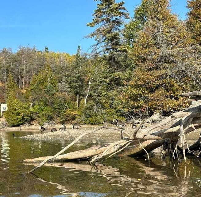 food-tour-on-island-lake-ontario-rv-motorhome-tour