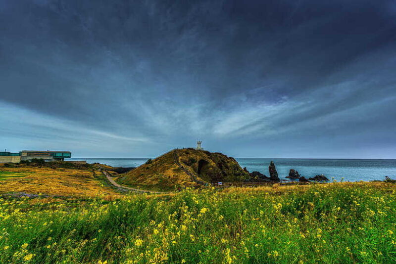 for-gangjeong-seogwipo-cruise-terminal-guests-jeju-tour