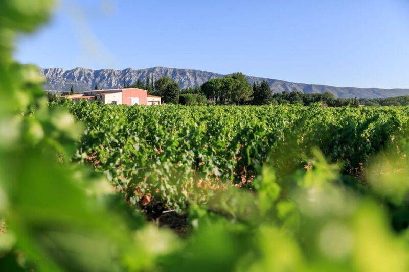 from-aix-en-provence-half-day-wine-tour-in-provence
