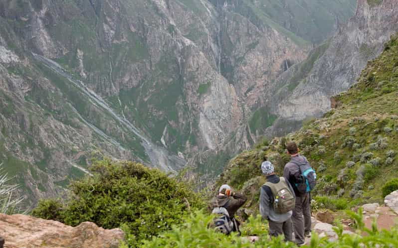 from-arequipa-2-day-colca-canyon-trekking-tour