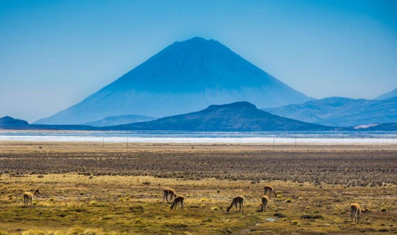 from-arequipa-excursion-to-the-salinas-lagoon-full-day