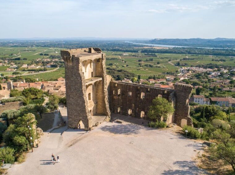 from-avignon-chateauneuf-du-pape-half-day-wine-tour