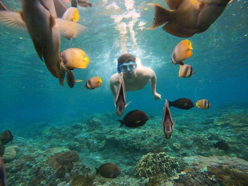 from-bali-nusa-penida-full-day-tour-and-snorkeling-3-spots