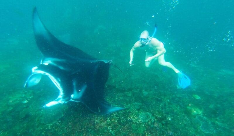 from-bali-nusa-penida-manta-point-snorkeling-and-land-tour