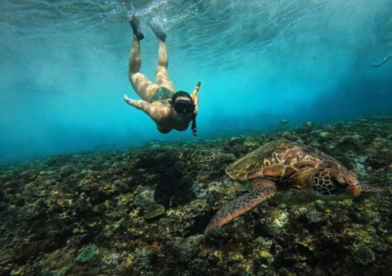 from-bali-nusa-penida-snorkeling-and-west-coast-tour