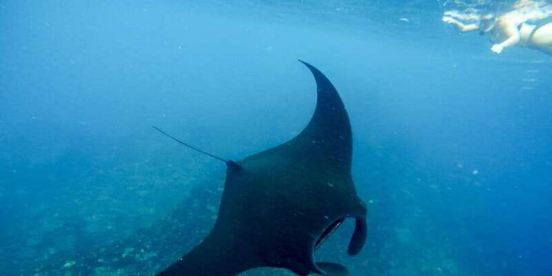 from-bali-nusa-penida-snorkeling-island-tour-special-trip