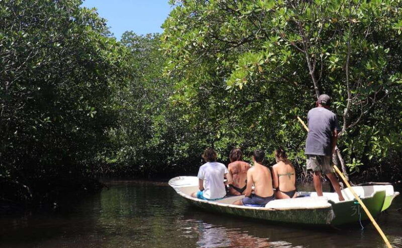from-bali-snorkeling-penida-lembongan-and-mangrove-tour