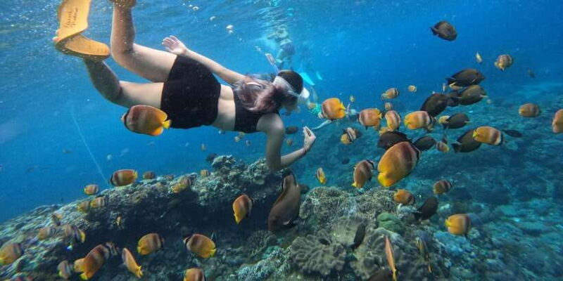 from-bali-swim-with-manta-rays-in-nusa-penida